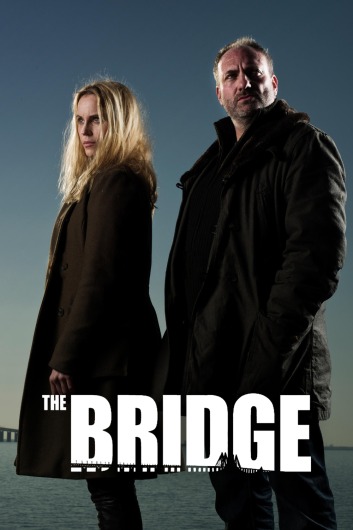 دانلود سریال The Bridge دوبله فارسی