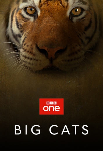 دانلود سریال Big Cats دوبله فارسی