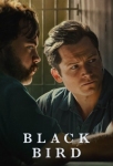 دانلود سریال Black Bird دوبله فارسی