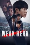 دانلود سریال Weak Hero Class 1 دوبله فارسی