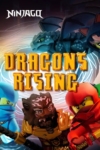دانلود سریال Ninjago Dragons Rising دوبله فارسی